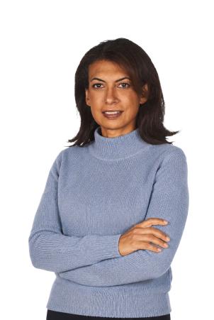 Pull col montant manches longues (PAMIERS)