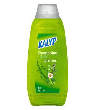 SHAMPOING STANDARD 500ml à l'unité