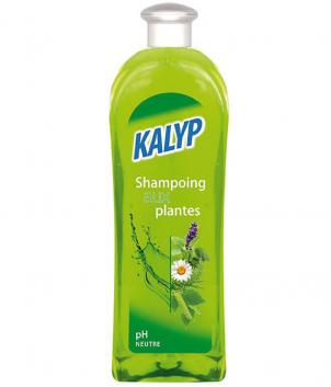 SHAMPOING AUX OEUFS 1L