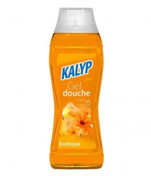 GEL DOUCHE STANDARD 300ml à l'unité