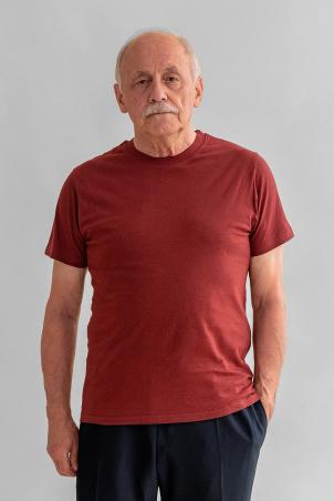 Tee-shirt uni col rond (THONON)
