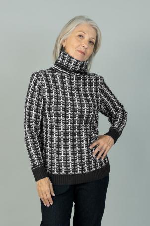 Pull col montant manches longues (PLACY)