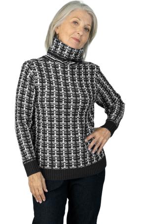 Pull col roule manches longues (PLACY)